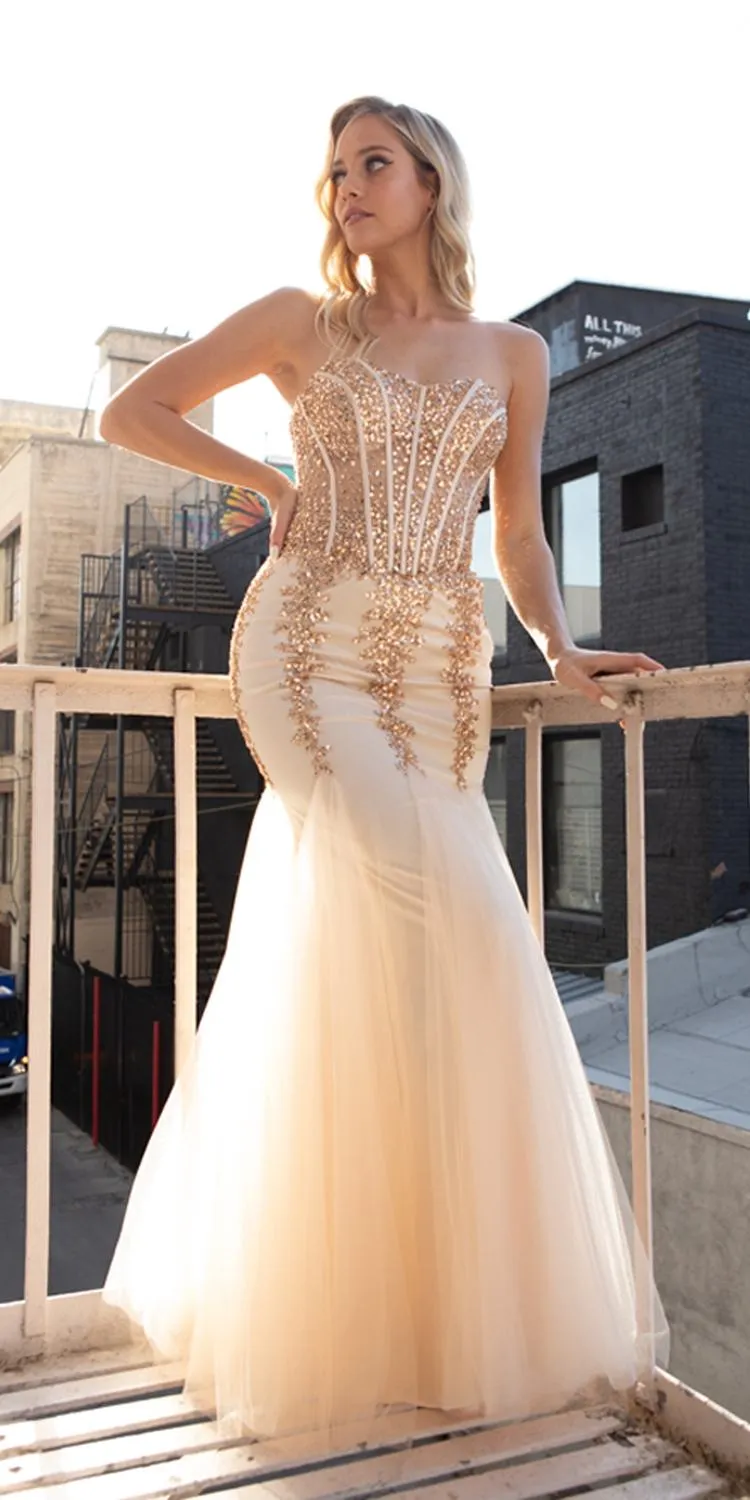 Amelia Couture 774 Long Strapless Sweetheart Embellished Mermaid Dress