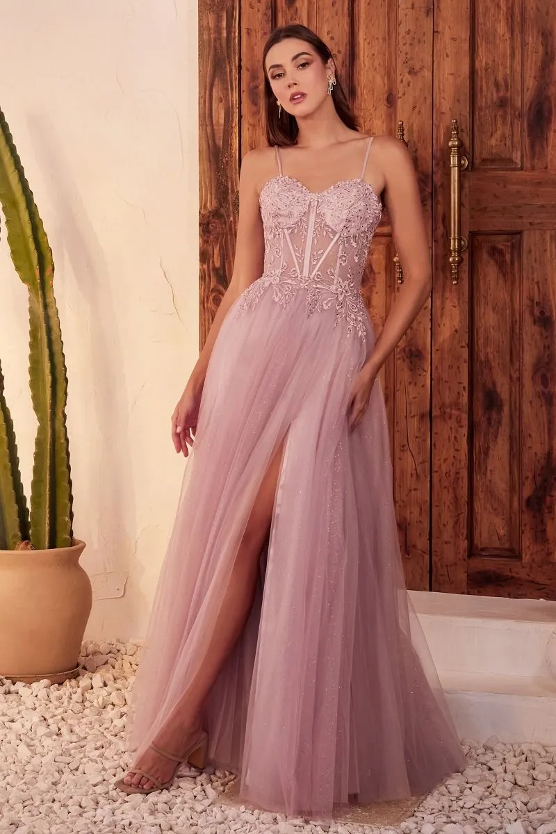 CD C150 - Lace Over Layered Tulle A-Line Prom Gown with Lace Up Corset Back & Leg Slit