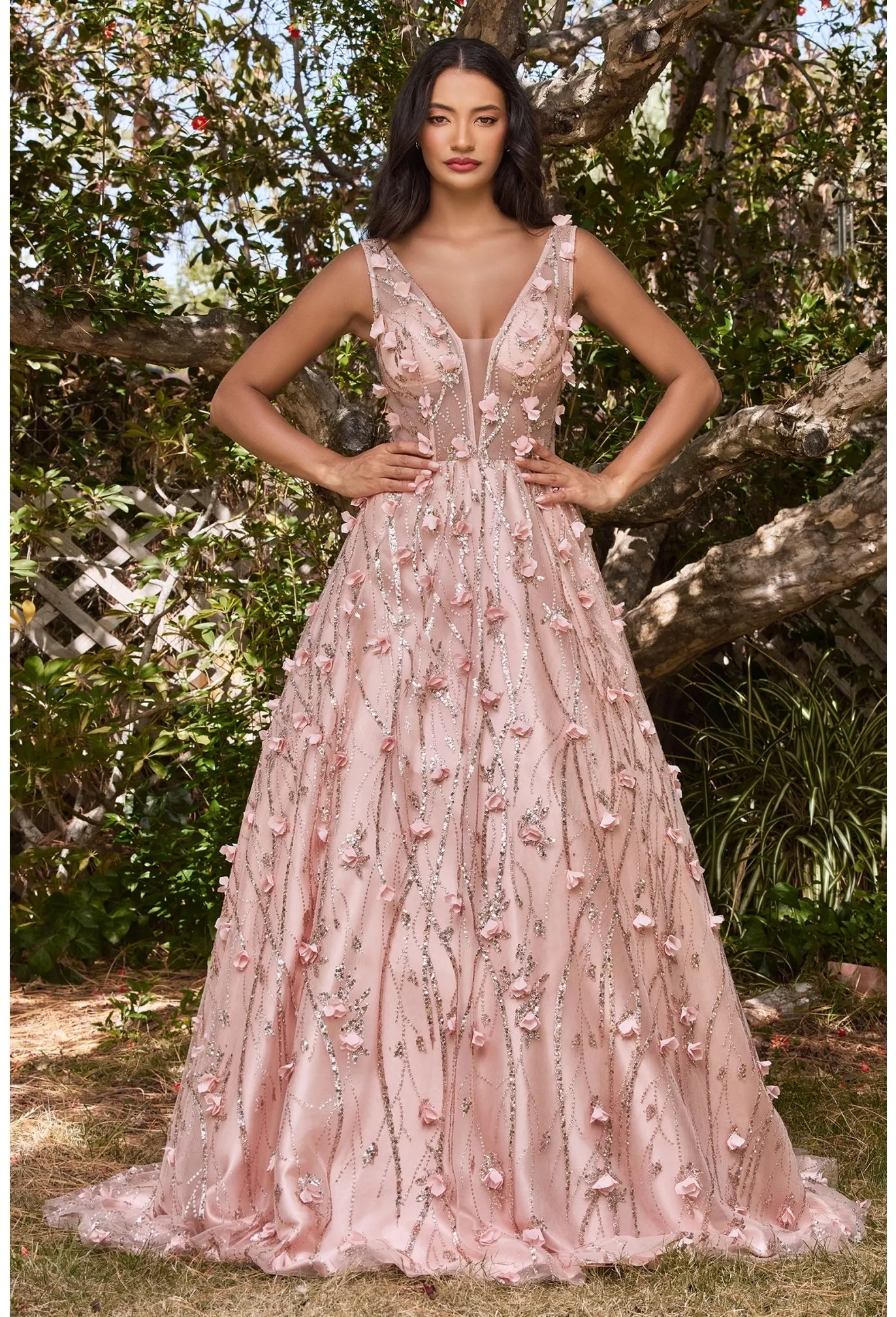 Cinderella Evening Dress CB085