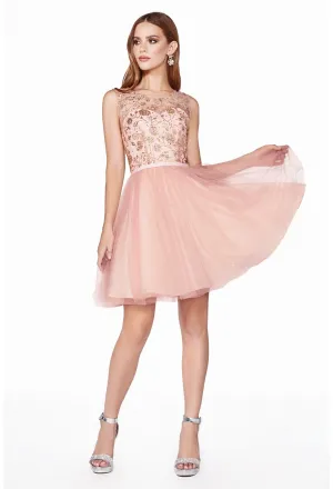 Cinderella Evening Dress CD20