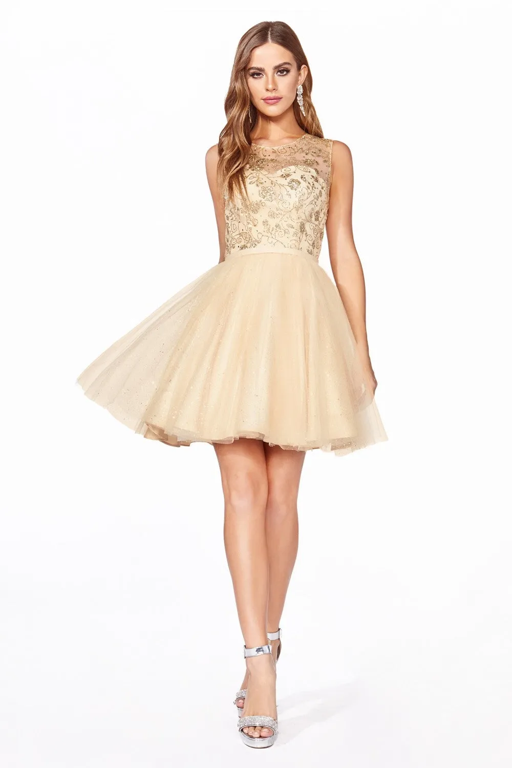 Cinderella Evening Dress CD20