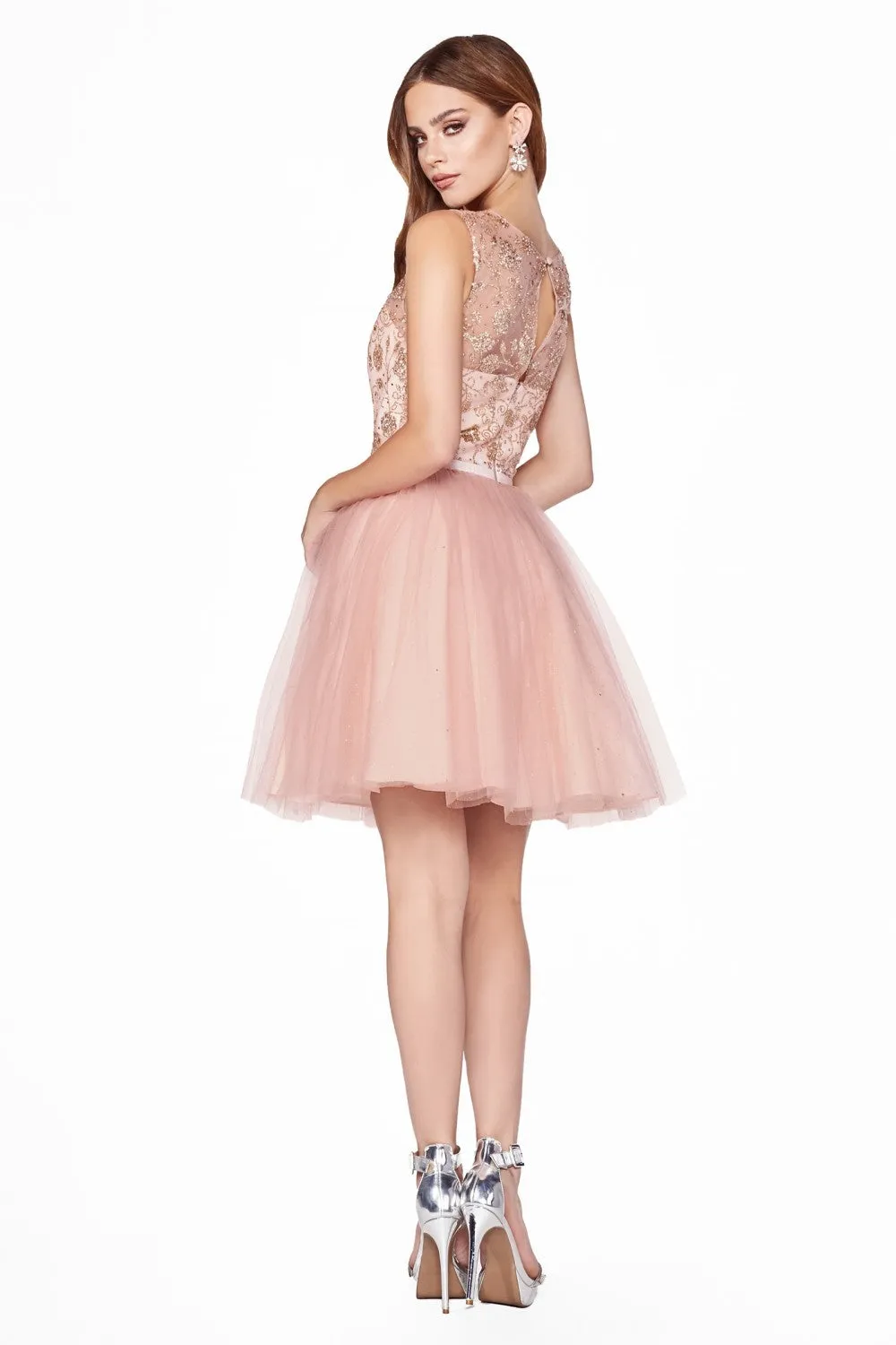 Cinderella Evening Dress CD20