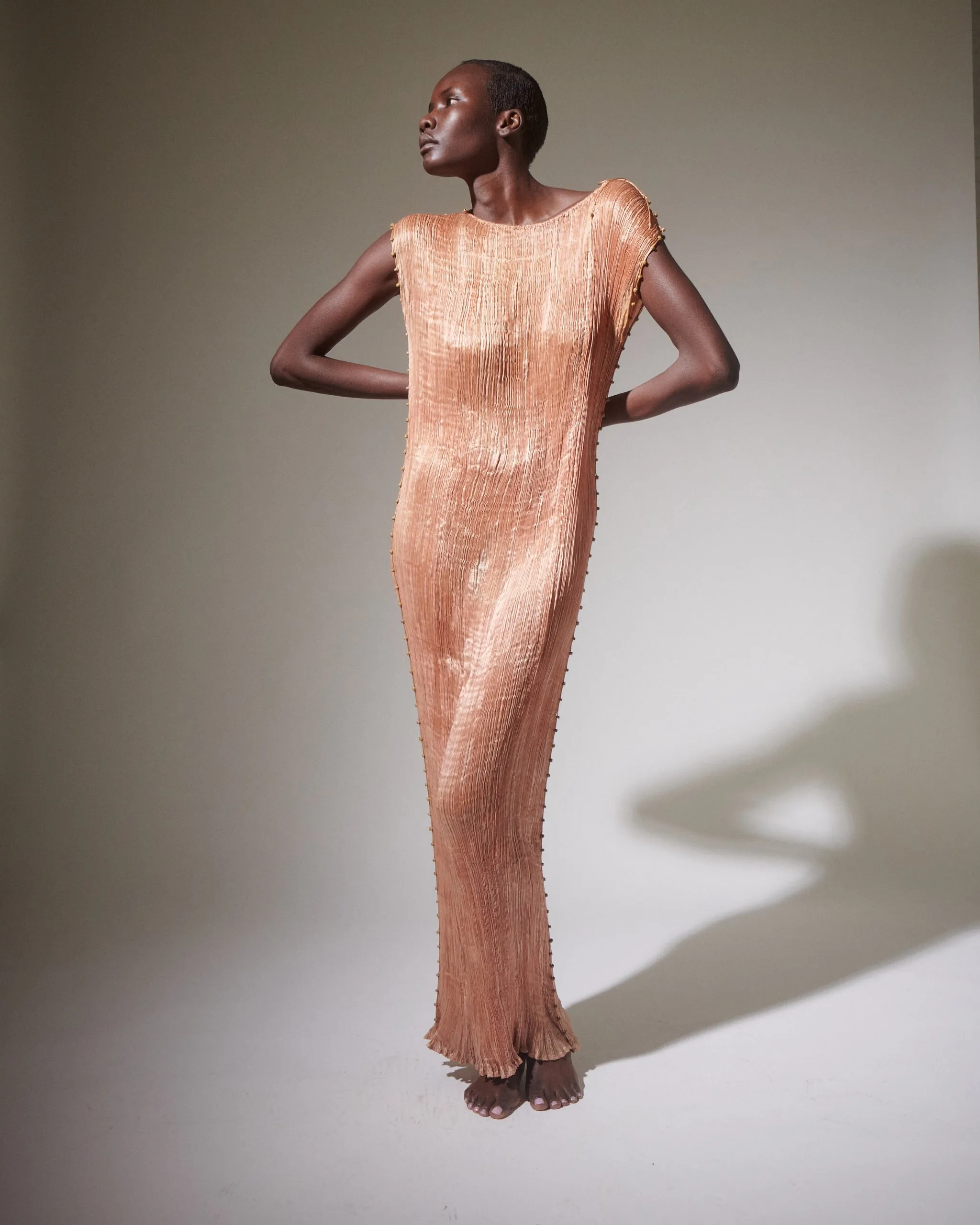 Fortuny Delphos Shell Pink Gown