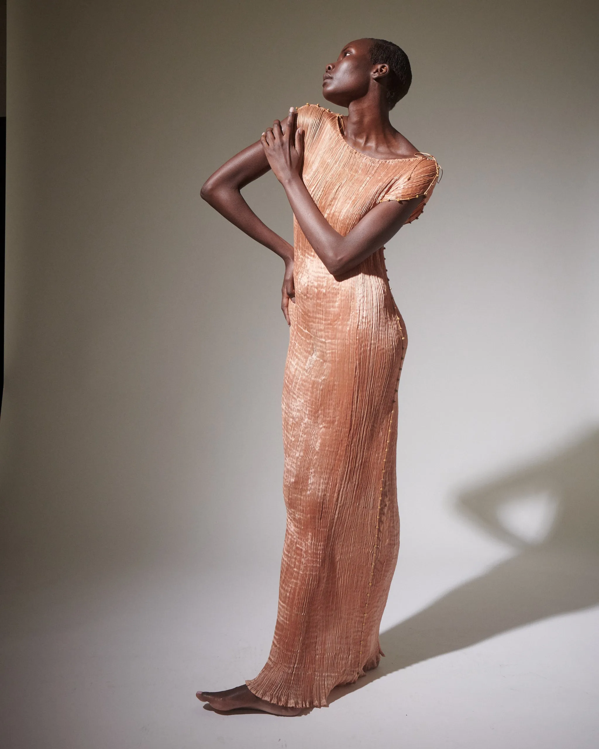 Fortuny Delphos Shell Pink Gown