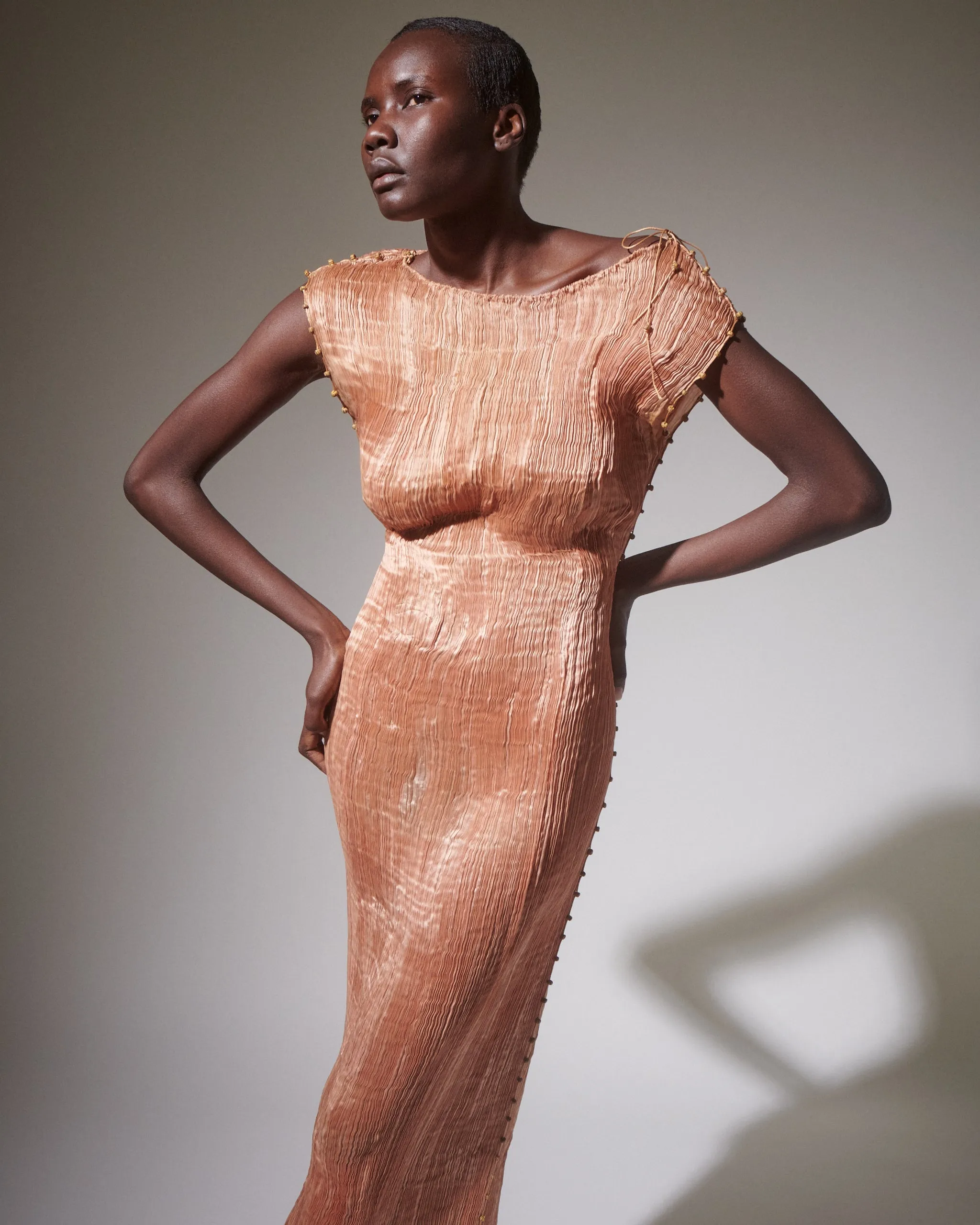 Fortuny Delphos Shell Pink Gown