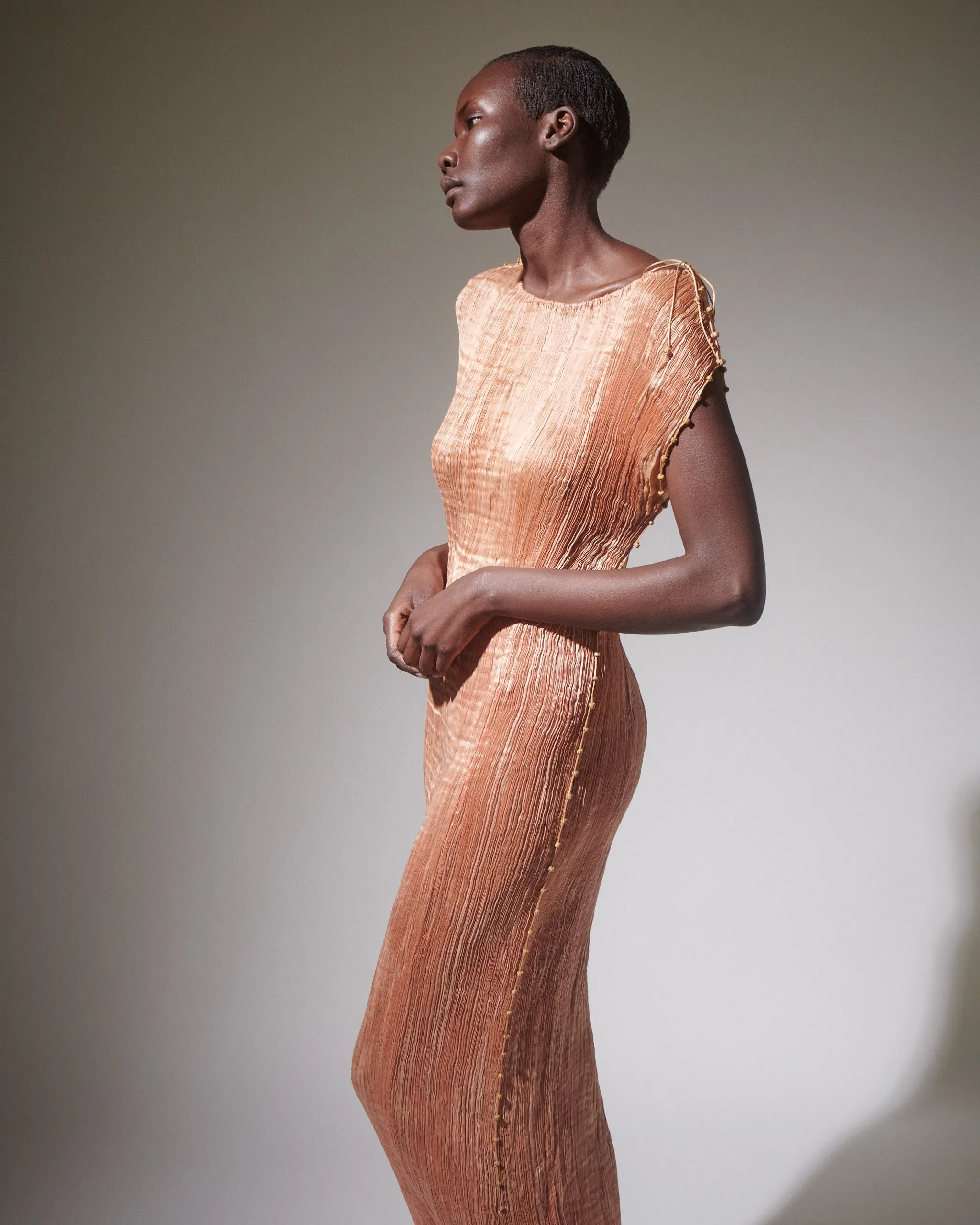 Fortuny Delphos Shell Pink Gown