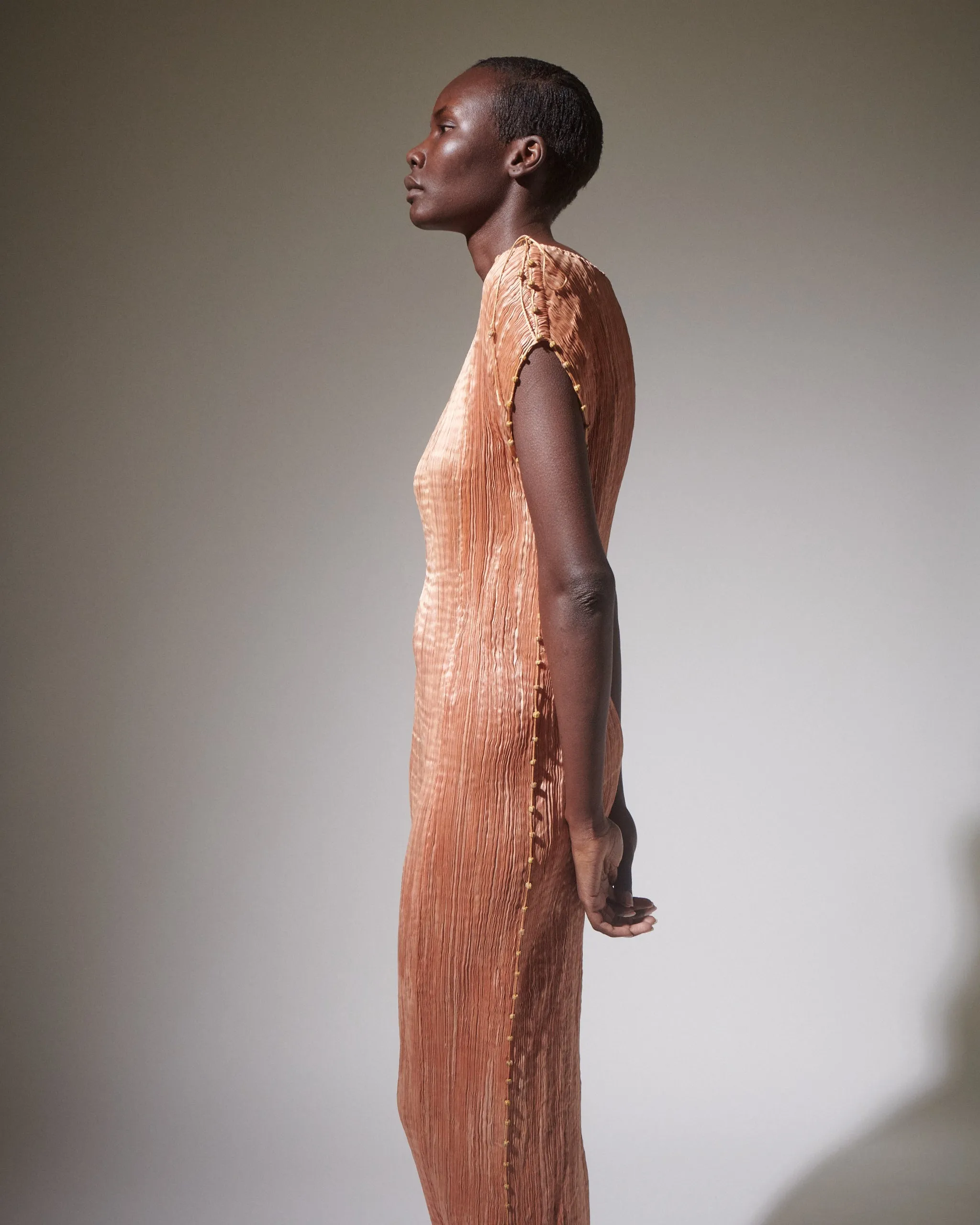 Fortuny Delphos Shell Pink Gown