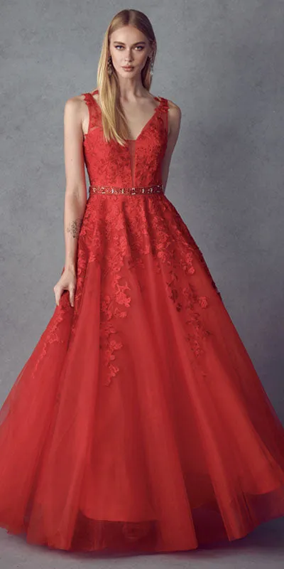 Juliet 224 V-Neck and Back Embroidered Tulle A-Line Ball Gown