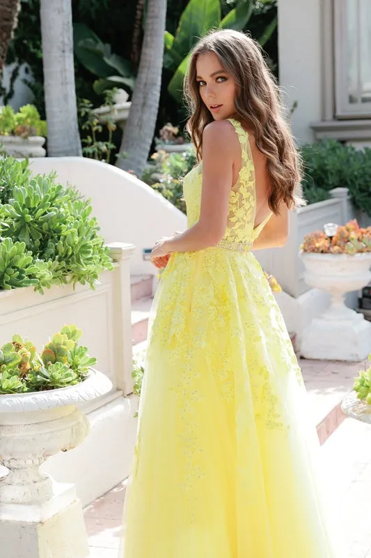Juliet 224 V-Neck and Back Embroidered Tulle A-Line Ball Gown