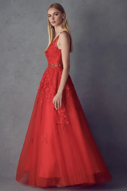 Juliet 224 V-Neck and Back Embroidered Tulle A-Line Ball Gown