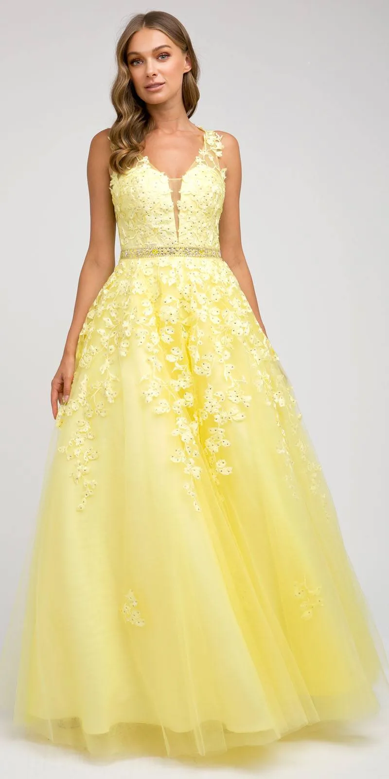 Juliet 224 V-Neck and Back Embroidered Tulle A-Line Ball Gown