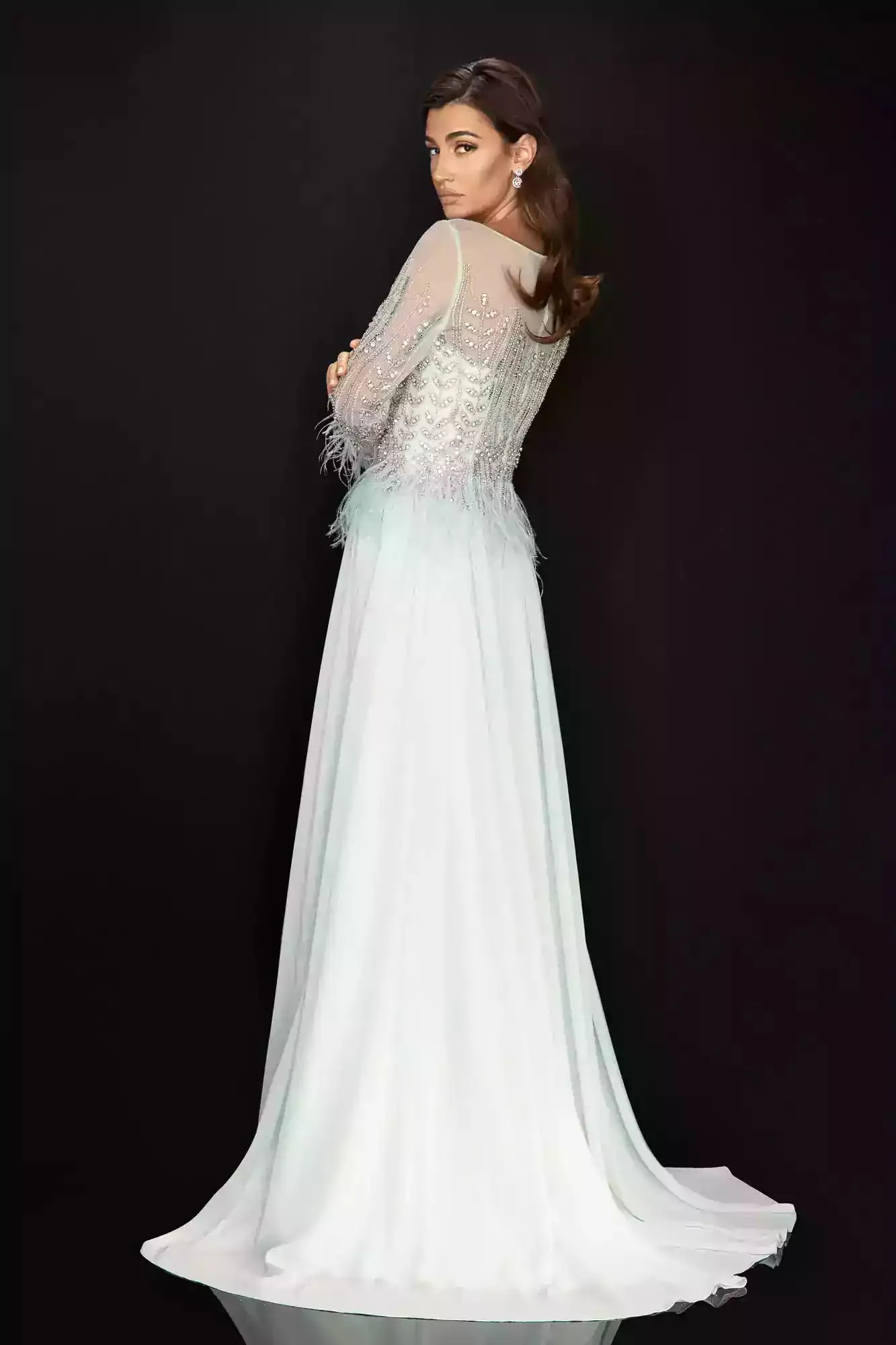 Long Sleeve Beaded Chiffon Gown with Feather Detail