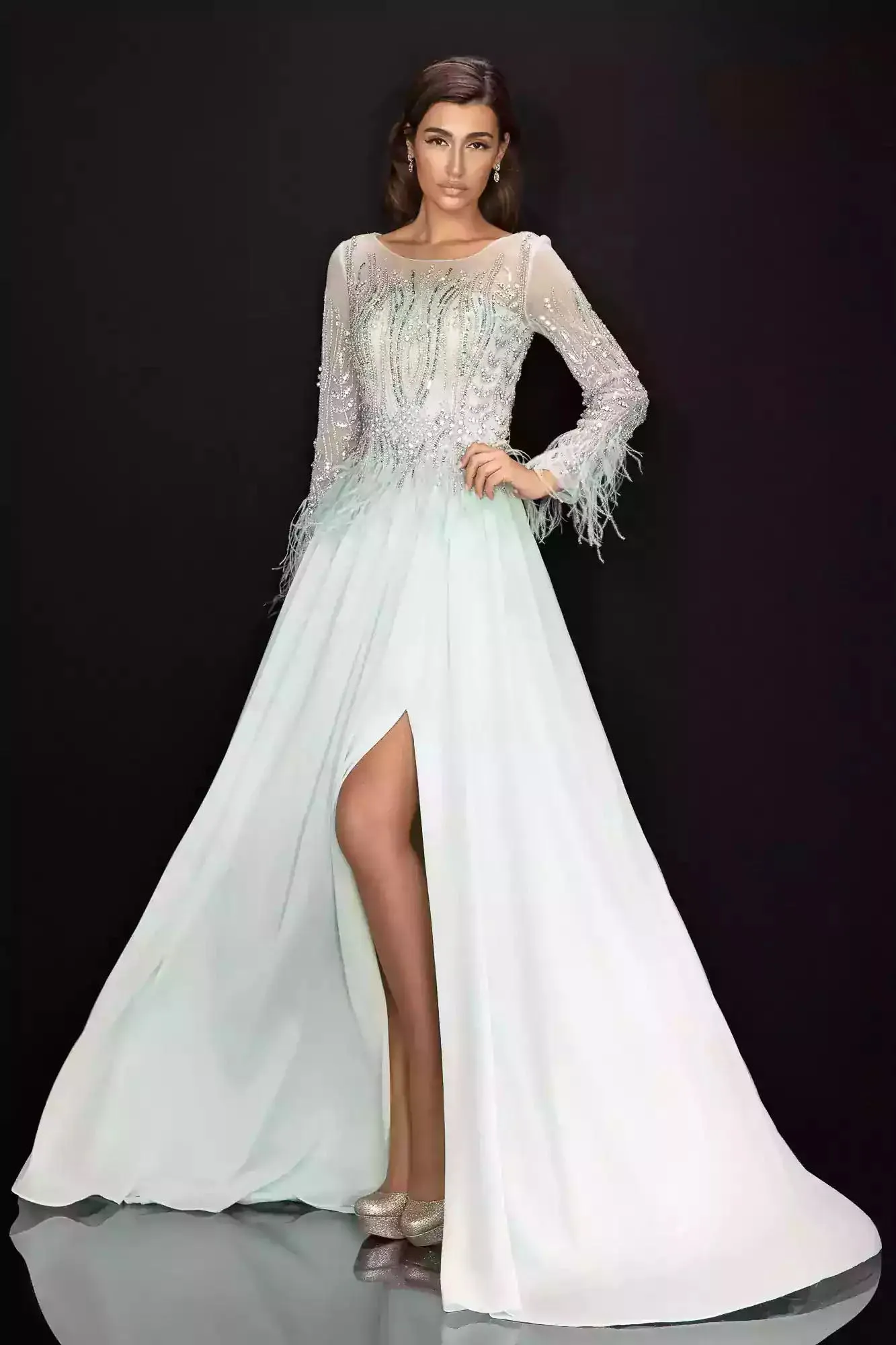 Long Sleeve Beaded Chiffon Gown with Feather Detail