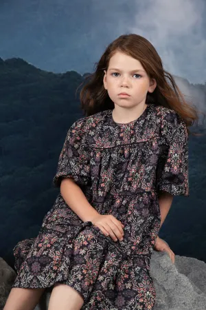 Noma Chiffon Floral Printed Dress