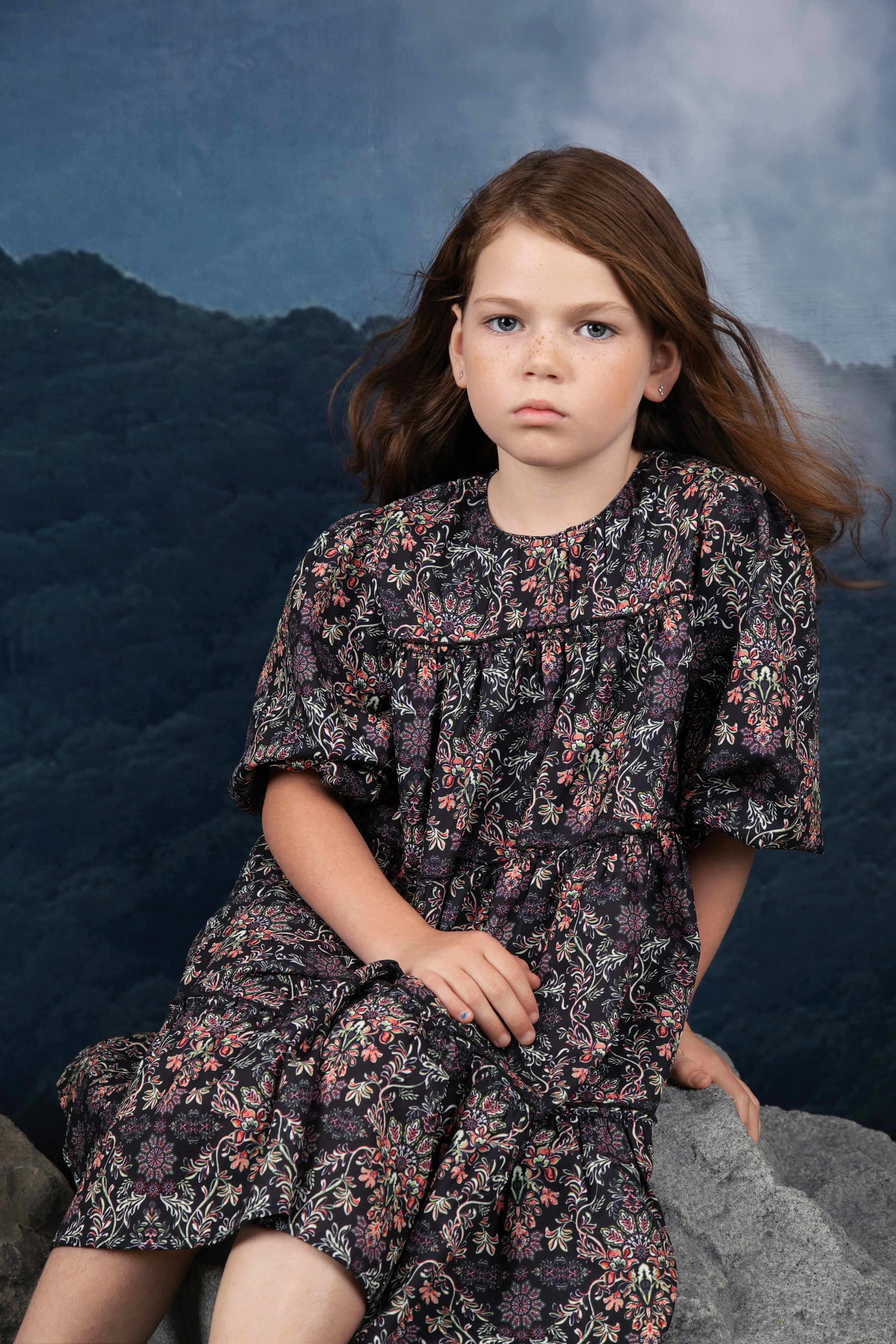 Noma Chiffon Floral Printed Dress