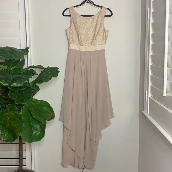 NWOT Eliza J Sleeveless Lace &amp; Chiffon Gown 4