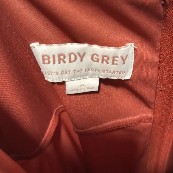 NWT Birdy Grey Amy Dress Chiffon Spice Women’s XL