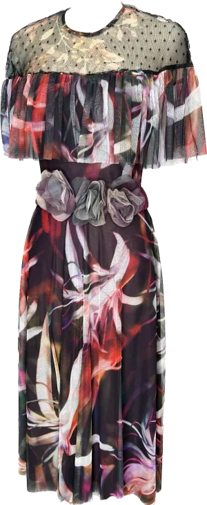 Strokes Sheer Dress