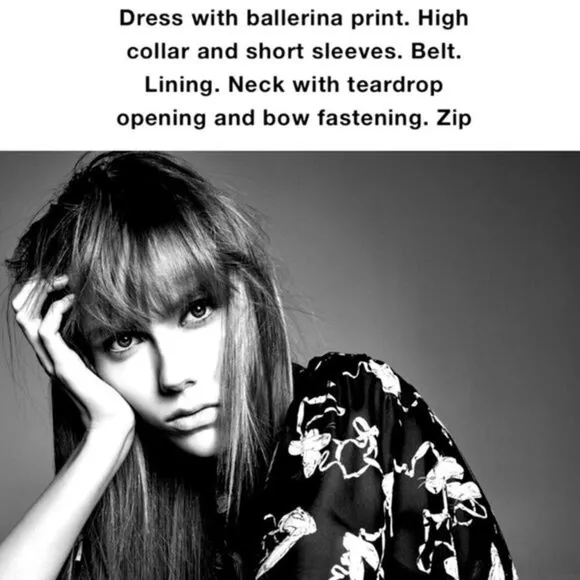 ZARA Studio Ballerina Print Chiffon Fully Lined Dress with Belt XS
